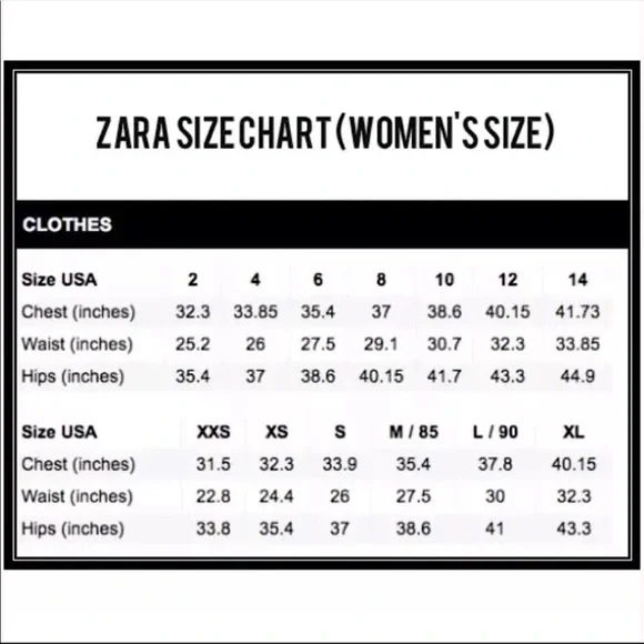 Zara Blogger Favorite Dress - Picture 9 of 9